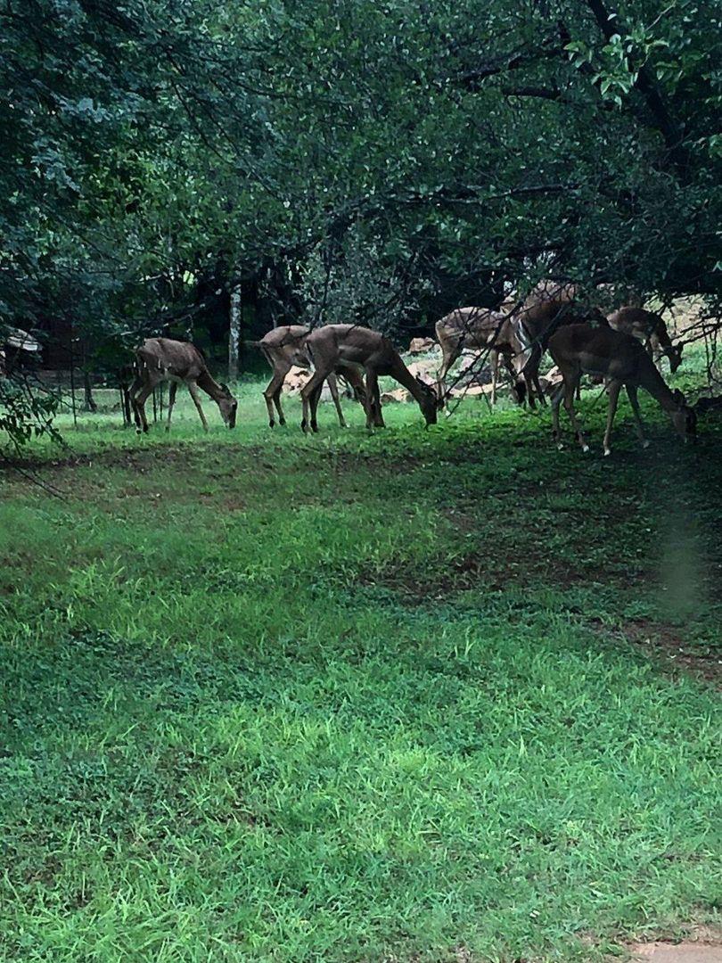 Commercial Property for Sale in Potchefstroom Rural North West